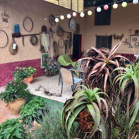 El Salado Casa Fletch B&B 외부 사진