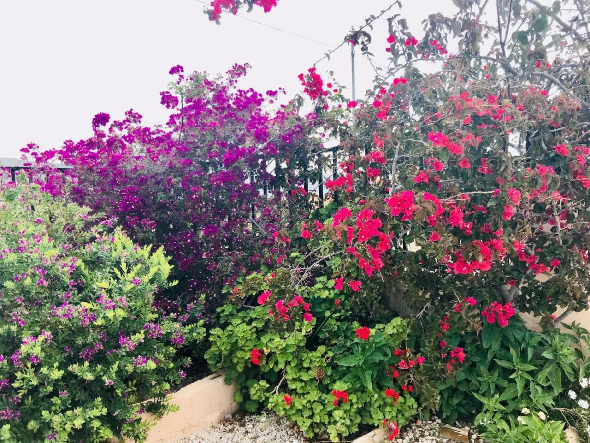 El Salado Casa Fletch B&B 외부 사진